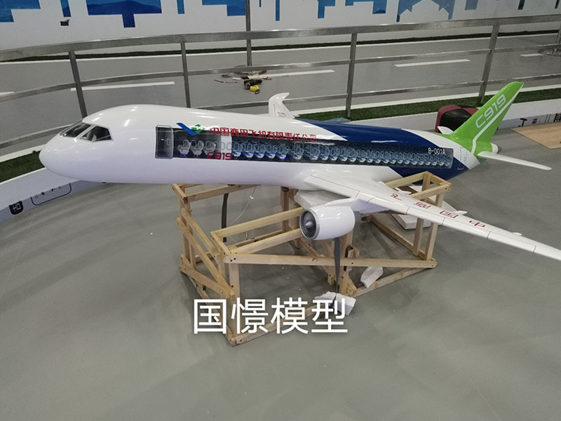 威远县飞机模型