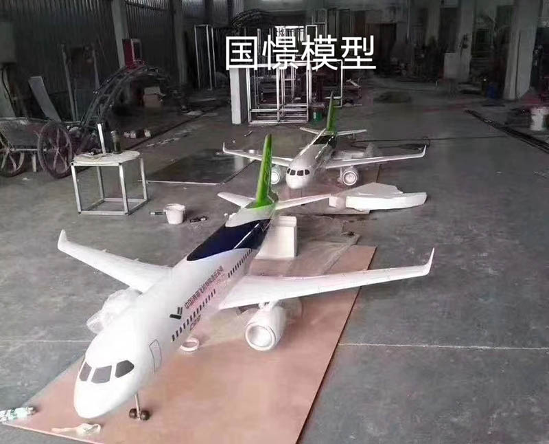 威远县飞机模型