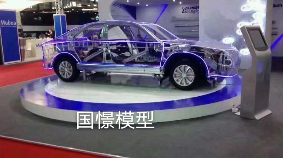 威远县透明车模型